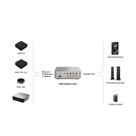 WiiM_Vibelink_AMP_Silver